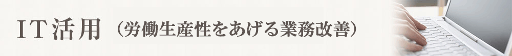 労働生産性を向上させる業務改善コンサル
