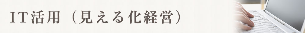 タイプ別診断：IT化、IT経営の進め方